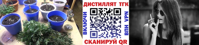 цена наркотик  Тулун  ТГК вейп с тгк 