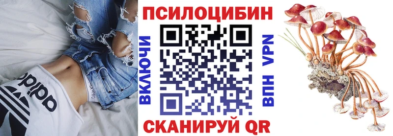 Псилоцибиновые грибы мицелий  Тулун 